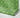 Green Leafy