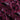 Morphas Ruby