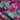 Maruva Fuchsia