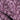 Purple Azure