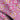 Turtie Blush