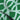 Green Embellish