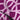 Purple Embellish