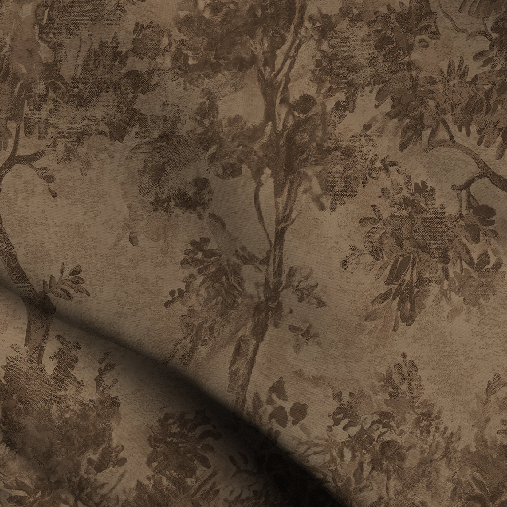 Brown Brushbloom