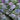 Sorin Lilac