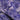 Feora Lilac
