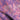 Sylvara Lilac