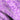 Bloomie Lilac