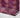 Dark Purple Foliage