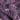 Dust Bloom Plum