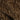 Flowing Brown