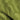 Green Spectrum
