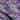 Curve Purple