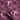 Nyx Pink