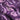 Onda Plum