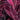 Pink Enchantment