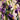 Purple Traces