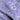 Rosi Lilac