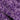 Tara Lilac