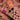 Tavi Coral