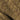 What a Branch