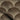 Brown Fanned