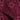 Gloomy Stars Burgundy