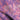 Sylvara Lilac