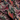 Cells