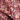 Voyage red plum